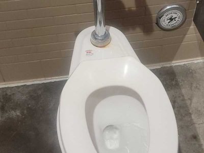 Finished Toilet Flush Valve Replacement